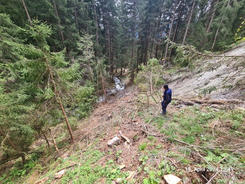 Archivbild: Rutschung nach Starkregen am Bacheinhang des Gruipbaches (Foto: LPA/Amt für Wildbach- und Lawinenverbauung Ost in der Agentur für Bevölkerungsschutz)