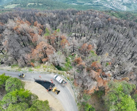Esattamente un anno fa, il 6 marzo 2025, un tratto di 90 ettari di bosco sopra Laces è bruciato. Gli operai della stazione forestale di Laces hanno immediatamente iniziato a risanare l'intera area. (Foto: USP/Ispettorato forestale di Silandro)