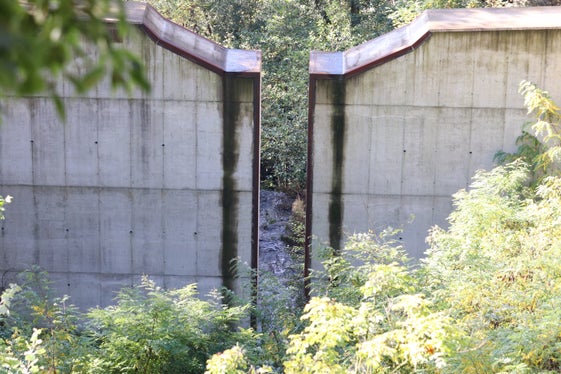 Diese Sperre im Mutbach hat das Amt für Wildbach- und Lawinenverbauung West in der Agentur für Bevölkerungsschutz in den Jahren 2019 bis 2020 errichtet. (Foto: LPA/Maja Clara)