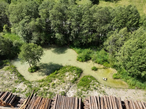 Grazie all’ampliamento dell’area umida lungo il Rio Toverino, il personale dei Bacini montani ha creato un prezioso habitat per rane e uccelli. (Foto: USP/Ufficio Sistemazione bacini montani Nord presso l’Agenzia per la Protezione civile)