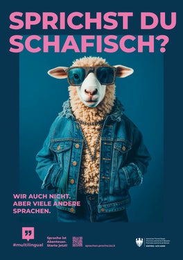 Informazioni sulle offerte linguistiche con link, consigli e documentazione sono disponibili sul sito della Provincia all'indirizzo https://lingue.provincia.bz.it/it/home (Foto: USP)