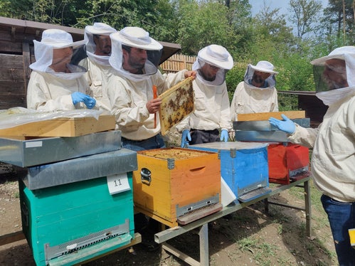 I partecipanti a un corso di apicoltura imparano come si comportano le api e come seguirle per garantire il loro benessere. (Foto: Istituto tecnico Laimburg/Klaus Blasbichler)

