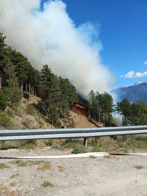 Am 22. April um 14.58 Uhr wurde Alarm wegen eines Waldbrandes in Kortsch ausgelöst; die Brandstelle lag an der Sonnenberger Leiten in der Gemeinde Schlanders. (Foto: LPA/Forstinspektorat Schlanders)