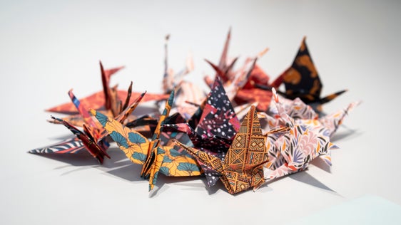 Quattro studentesse della classe 1. A della scuola media “Adalbert Stifter” di Bolzano hanno consegnato al presidente della Provincia Arno Kompatscher una ghirlanda composta da gru di carta. (Foto: USP/Fabio Brucculeri)