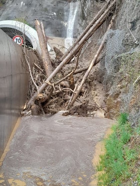 Die Hangschutzvorrichtungen haben bei einem Erdrutsch auf der Landesstraße in Ulten einen Großteil des Materials aufgefangen. (Foto: LPA/Landesstraßendienst)