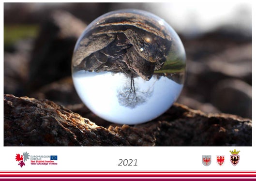 Die Europaregion sucht Fotos aus Tirol, Südtirol und dem Trentino für den Jahreskalender 2022. (Foto: Euregio)