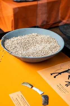 La mostra  Macine: dal grano alla farina ha l'obiettivo di evidenziare l'evoluzione del procedimento della macinazione nel corso dei millenni (Foto: ASP/Manuela Tessaro)