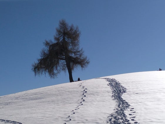 Dieser heute ausklingende Jänner war im Großteil Südtirols zu warm, heißt es im Monatswetterrückblick des Landeswetterdienstes in der Agentur für Bevölkerungsschutz. Das Bild entstand Mitte des Monats am Wallneregg am Ritten. (Foto: LPA/Maja Clara)