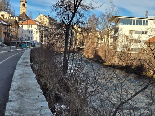 La manutenzione degli argini garantisce la protezione dalle piene e crea un habitat diversificato per piante e animali. (Foto: USP/Ufficio Sistemazione bacini montani est/Hubert Brugger)