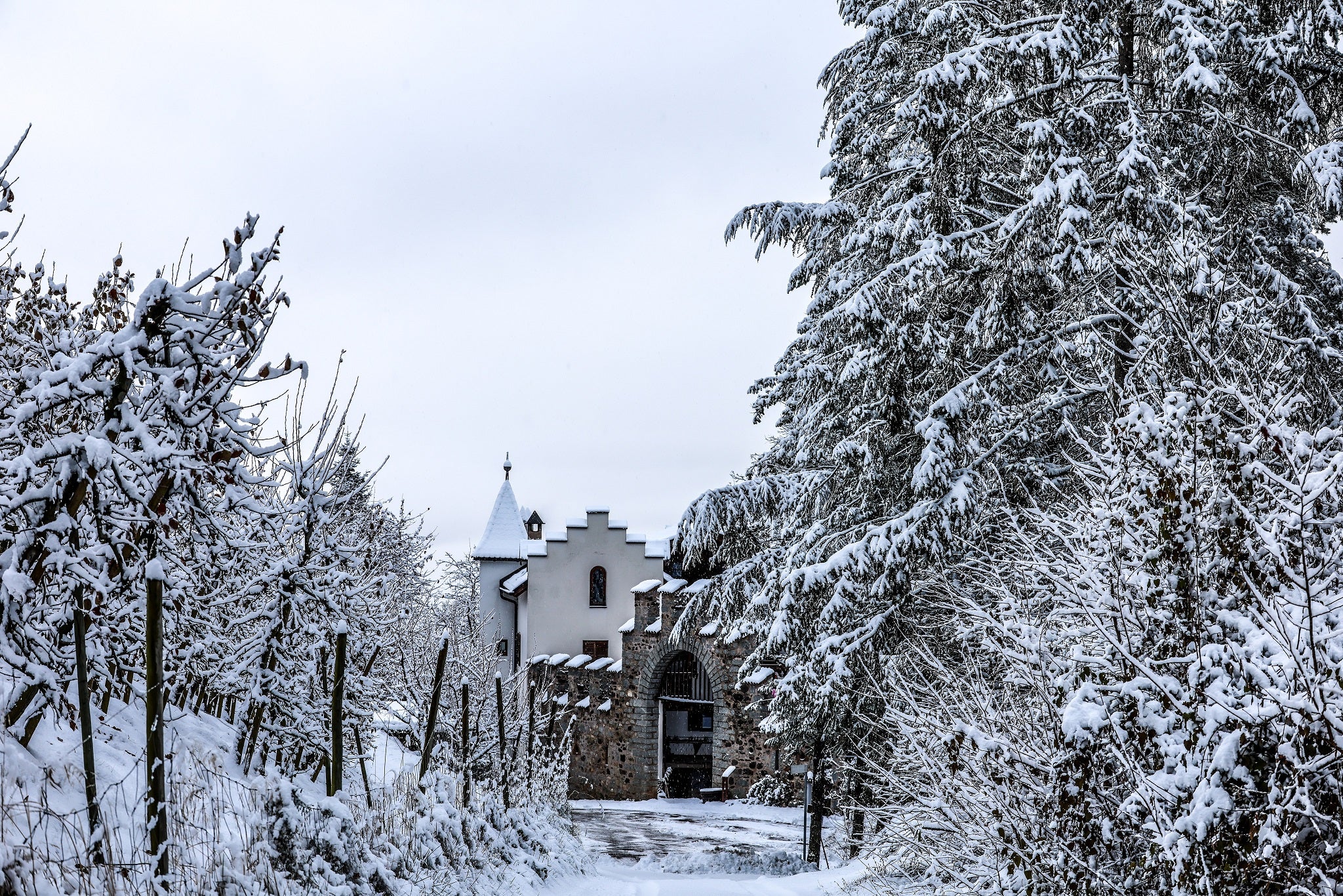 Wetterbild des Monats November 2025: die Zwingenburg bei Tisens (Foto: LPA/Martin Geier)