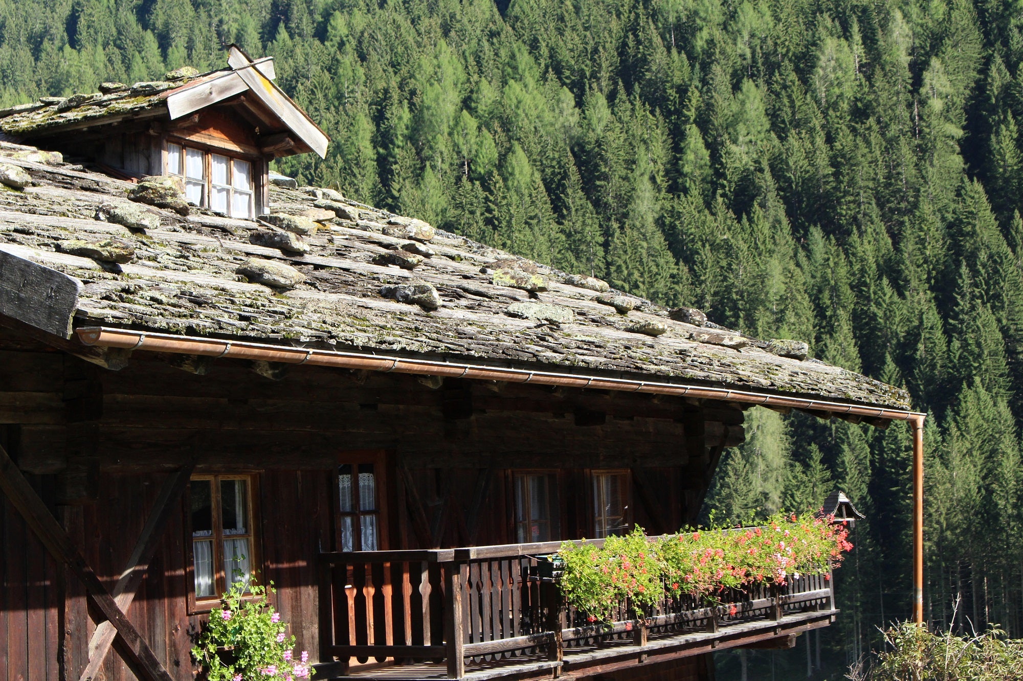 Für die Erhaltung und Aufwertung traditioneller Kulturlandschaften gewährt das Land Südtirol Förderungen: Darum kann vom 1. März bis 31. Mai 2022 angesucht werden. (Foto: LPA/Martina Pecher) 