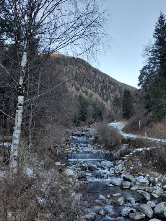 La Giunta provinciale ha deliberato l'aumento dei fondi per la viabilità rurale e di accesso ai masi (Foto: USP/Maja Clara)