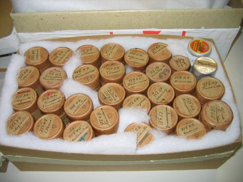 Fotografischer Nachlass von Wilhelm Schrefler, seit 1935 Guglielmo Sandri: Die 68 Originalbehältnisse der Rollnegative. (Foto: LPA/Landesarchiv)