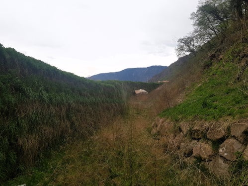 Dopo la caduta massi nella zona sud di Bronzolo, il vallo di protezione sarà nuovamente esaminato dagli esperti dell'Ufficio Geologia e prove materiali. (Foto: USP/Ripartizione Infrastrutture)