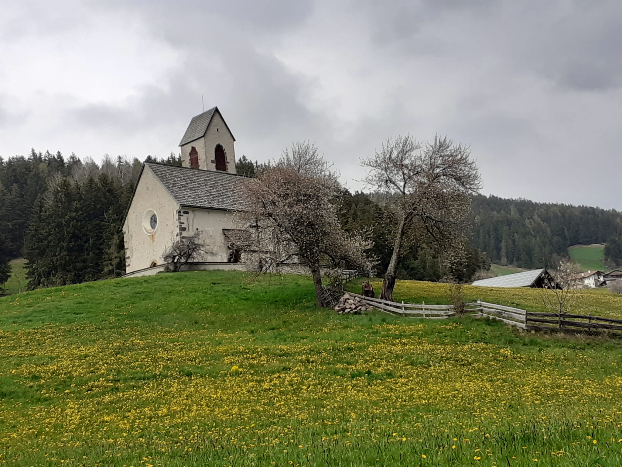 Überdurchschnittlich warm und weniger trocken war dieser Mai, heißt es aus dem Landesamt für Meteorologie und Lawinenwarnung. Das Bild entstand Anfang Mai in St. Jakob in Villnöß. (Foto: LPA/Maja Clara)