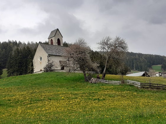 Überdurchschnittlich warm und weniger trocken war dieser Mai, heißt es aus dem Landesamt für Meteorologie und Lawinenwarnung. Das Bild entstand Anfang Mai in St. Jakob in Villnöß. (Foto: LPA/Maja Clara)