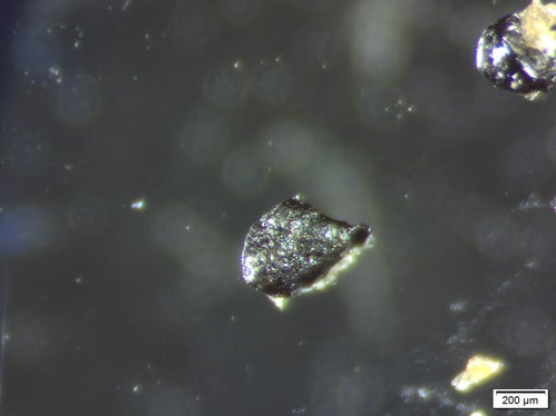 Die Mikroplastikfragmente aus den Wasserproben werden unter dem Stereomikroskop analysiert. (Foto: LPA/Landesagentur für Umwelt und Klimaschutz)