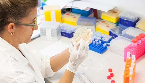 Über EU-Partnerschaften können auch Südtirols Forschungseinrichtungen von EU-Forschungsgeldern profitieren, im Bild Forschung an der Eurac in Bozen (Foto: LPA)