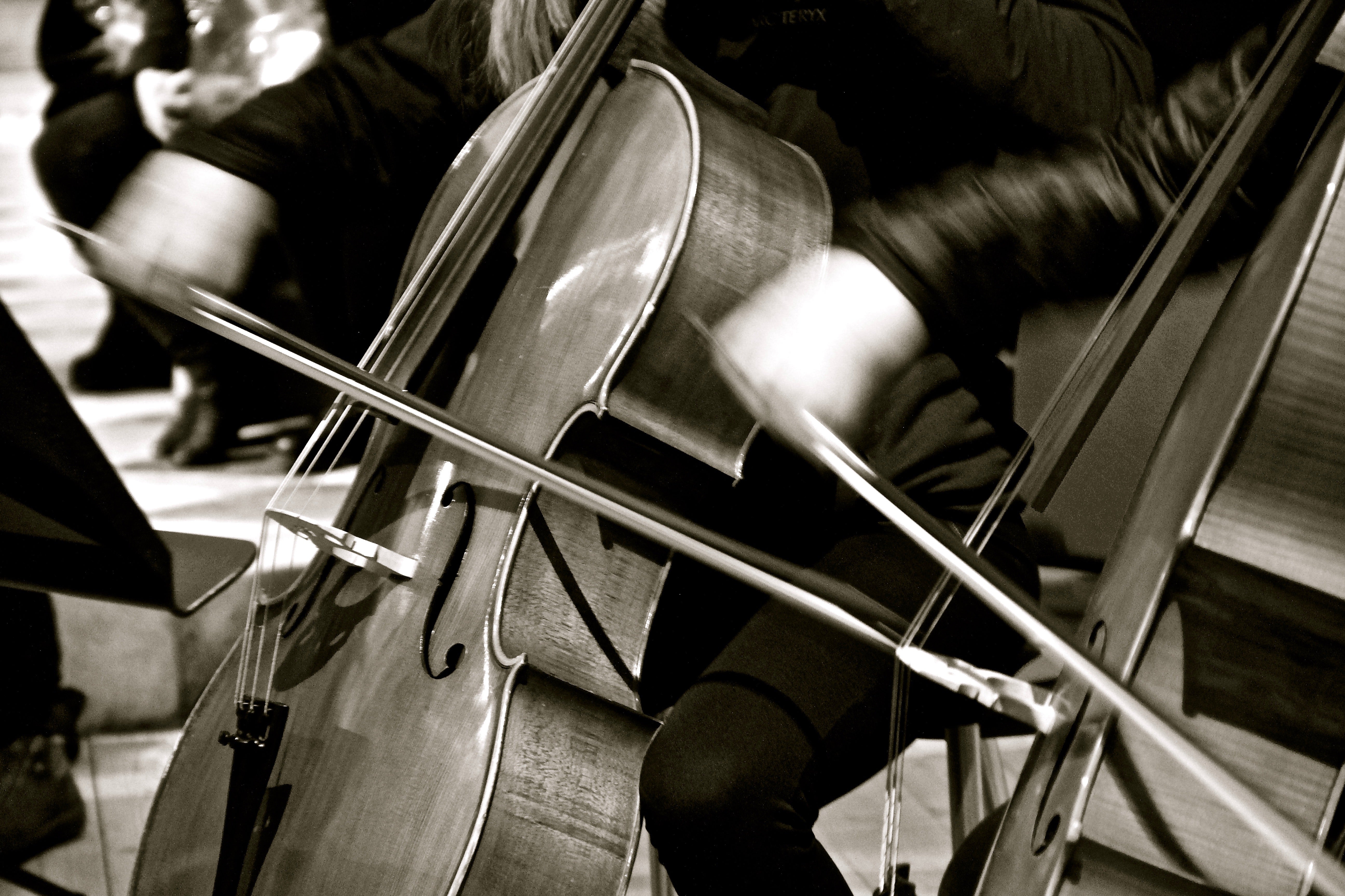 Che si tratti di clarinetto, violoncello o canto, la musica unisce, qualunque sia lo strumento protagonista.  Da sabato 1° marzo sarà possibile iscriversi online a tutte le scuole di musica dell'Alto Adige. (Foto: USP/Direzione provinciale scuole di musica tedesca e ladina)