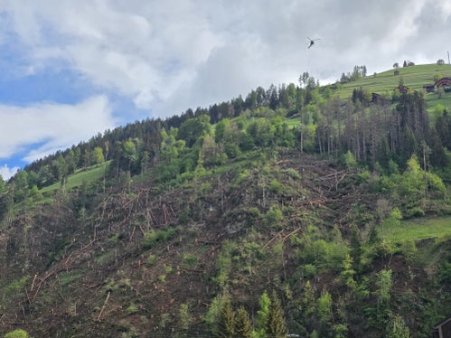 L'intervento lungo la SS244 si è reso necessario in quanto il bostrico aveva danneggiato le aree boschive. In quel punto il bosco svolge un'importante funzione protettiva per la strada, contro la caduta di massi e detriti. (Foto: USP/Dipartimento Infrastrutture e Mobilità)