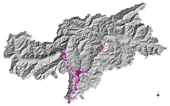 Il monitoraggio, che viene effettuato da aprile a ottobre, prevede il posizionamento nel verde pubblico di ovitrappole. Questa è la mappatura con il monitoraggio sul territorio altoatesino (Foto: APPA) 