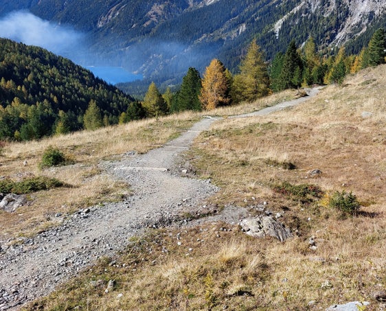 I lavori boschivi fanno parte dei compiti della Ripartizione Foreste. I lavori vengono eseguiti su iniziativa della stessa Ripartizione, ma spesso è necessario noleggiare le attrezzature: le condizioni contrattuali e il prezziario vengono adeguati annualmente dalla Giunta provinciale (Foto: ASP/Ispettorato Forestale di Monguelfo)