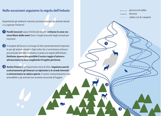 L’invito rivolto agli escursionisti è di seguire la cosiddetta “regola dell’imbuto”, ovvero: seguire in salita gli itinerari classici o le strade forestali, e in fase di discesa, evitare i&nbsp;pascoli&nbsp;e i luoghi di permanenza invernale degli animali. (Foto: ASP/Ufficio natura)