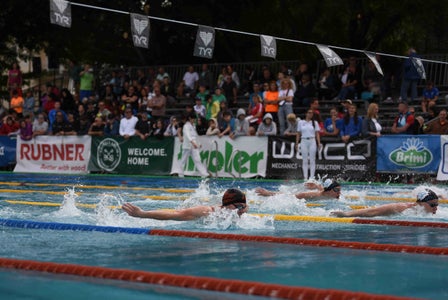 Der Euregio Swim Cup will nicht nur sportliche Leistung (im Bild in Brixen) ermöglichen, sondern auch Werte wie Durchhaltevermögen und Grenzen überwindende Freundschaft ermöglichen. (Foto: ESC/Niederwieser) 