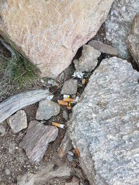 I mozziconi di sigaretta sono i rifiuti più comuni, purtroppo anche sui sentieri di montagna (Foto Maria Mayr) 