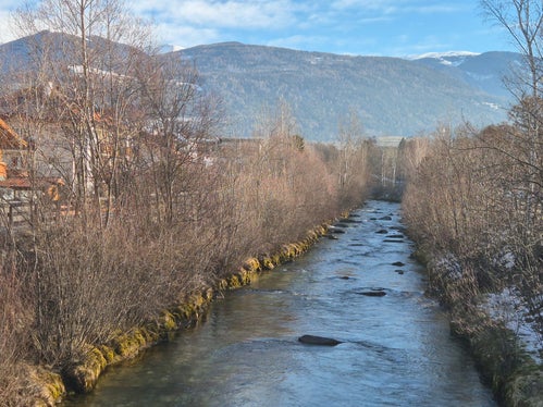Zwei Wochen lang führt das Landesamt für Wildbach- und Lawinenverbauung Ost jetzt Schlägerungs- und Uferpflegearbeiten entlang der Rienz im Stadtgebiet Bruneck durch. (Foto: LPA/Landesamt für Wildbach- und Lawinenverbauung Ost/Hubert Brugger)