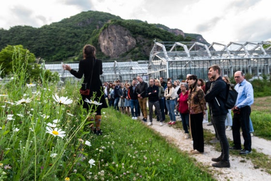 Le visite guidate Natura in giardino facilitano il dialogo tra appassionati e ricercatori. (Foto: USP/Centro Laimburg/Ivo Corrà)
