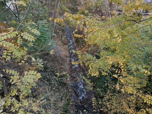 Die Künette des Trametschbachs vor der Uferpflege (Foto: LPA/Landesamt für Wildbach- und Lawinenverbauung Nord)