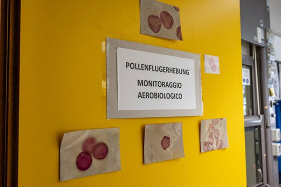 Seit genau 30 Jahren, seit 1995, ist das Biologische Labor der Landesagentur für Umwelt und Klimaschutz für das Pollenmonitoring in Südtirol verantwortlich. Es hat seinen Sitz in Leifers. (Foto: LPA/Greta Stuefer)
