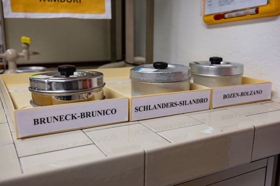 Le concentrazioni polliniche vengono analizzate a Bolzano e Silandro (tutto l'anno) e a Brunico (da gennaio a ottobre). (Foto: USP/Greta Stuefer)