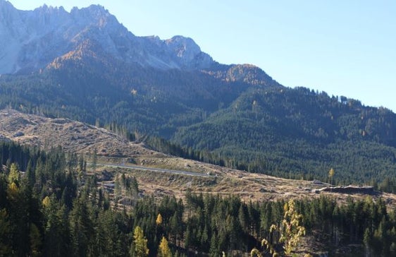 Tre anni dopo la tempesta Vaia, il 95% delle foreste alpine sono state bonificate e la quantità di legname è visibilmente diminuita (Foto: ASP/Noemi Prinoth)