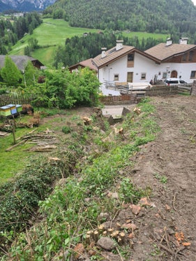 Vorbereitungsarbeiten: Mit der Ausholzung haben die Arbeiten am Tisenserbach begonnen. (Foto: LPA/Landesamt für Wildbach- und Lawinenverbauung Süd)