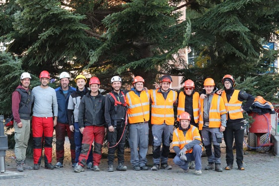 Christbaum in Teamarbeit auf dem Waltherplatz aufgestellt, vorne hockend der dafür zuständige Koordinator der Stadtgärtnerei Erwin Lunger. (Foto: LPA/Maja Clara)