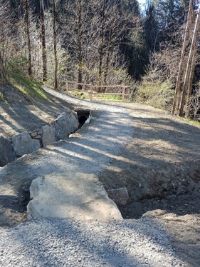 Die Waalwege sind wichtige Wandermöglichkeiten für Gäste und Einheimische; im Bild: Schenner Waal (Foto: LPA/Forstinspektorat Meran)