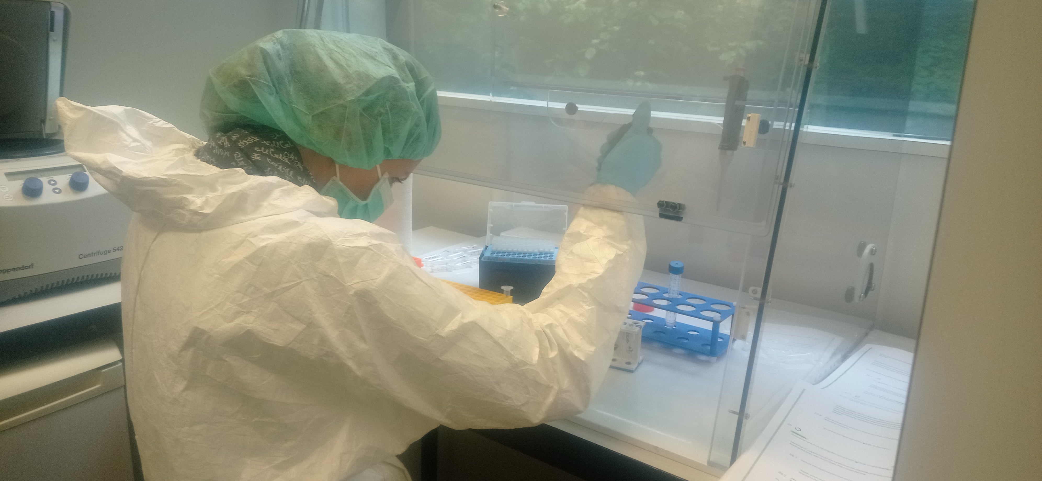 Am Institut für Mumienforschung der Eurac Research wird derzeit das Projekt MEDIEVAL_Calculus umgesetzt. Dieses wurde von der Europäischen Kommission mit dem Seal of Excellence ausgezeichnet und wird nun mit Geldmitteln des Landes in Südtirol realisiert. (Foto: LPA/Eurac Research)