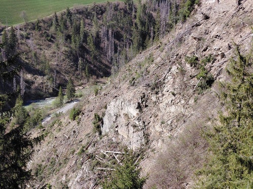 Große Waldflächen in sehr steilem und schwierigem Gelände in der Gadertaler Schlucht waren durch Borkenkäferbefall geschädigt und mussten deshalb entfernt werden. (Foto: LPA/Forstinspektorat Bruneck/Forststation St. Vigil in Enneberg)