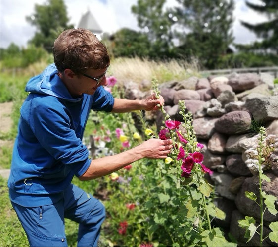 Anbau von Nutzpflanzen, Kinderaktion im Museum Gherdeina (Foto: LPA/Ujep Runggaldier)