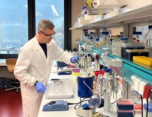 Die Entwicklung einer Immuntherapie gegen Birkenpollenallergie ist Ziel des Interreg-Projekts AppleCare, das am 15. März 2018 an der Laimburg vorgestellt wurde. (Foto: Laimburg Research Centre)