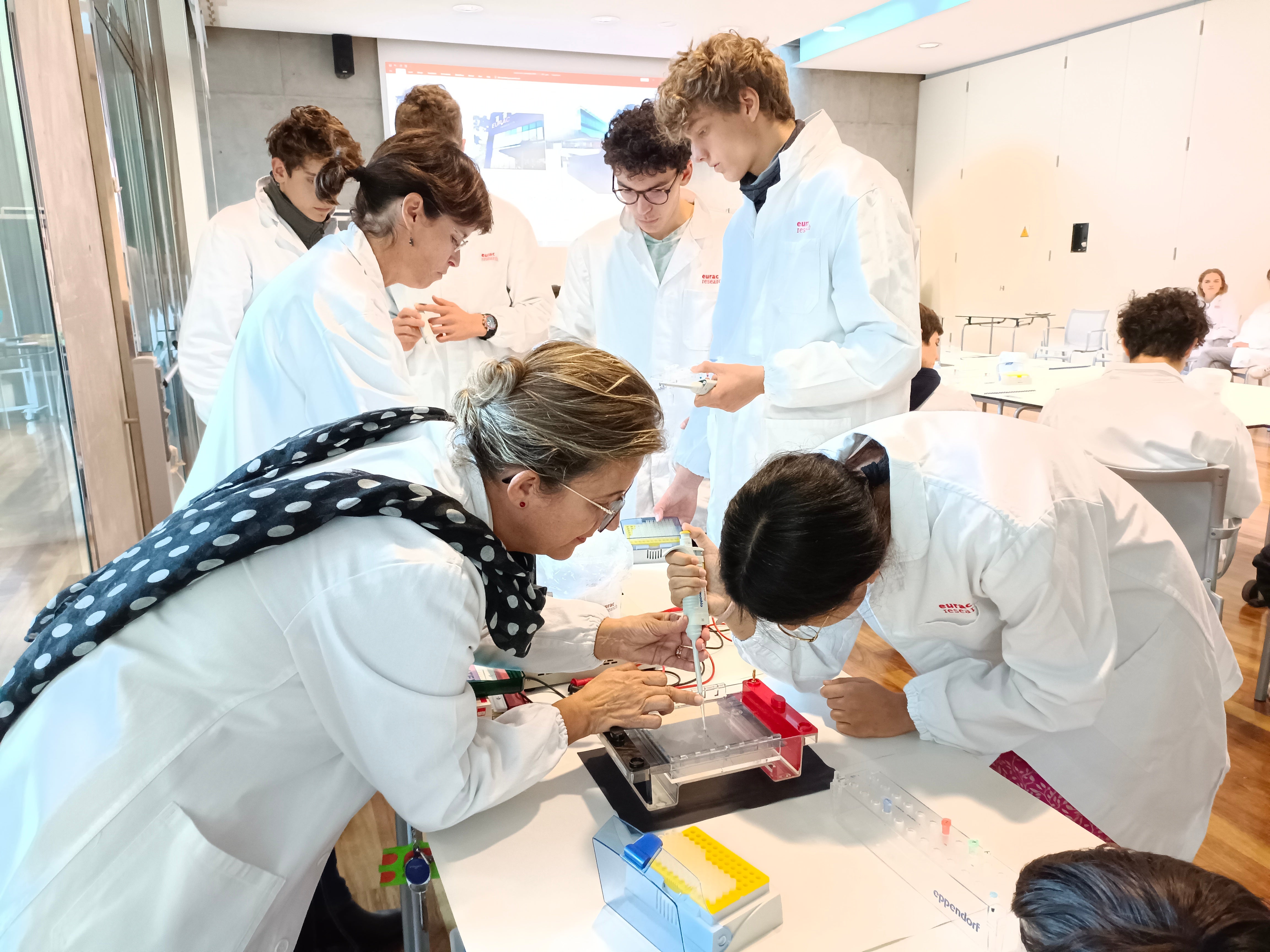 Um den Berufseinstieg Jugendlicher in die Arbeitswelt geht es bei einer Informationsveranstaltung am 17. Mai. Im Bild die Veranstaltung Rendezvous mit dem Traumberuf der Deutschen Bildungsdirektion (Foto: LPA/Verena Hilber)