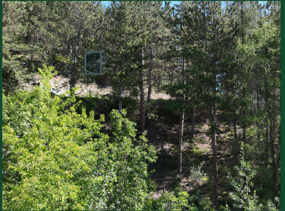 Da oltre 30 anni sul Monte Sole in Val Venosta si porta avanti la trasformazione dei boschi di pino nero in boschi misti seminaturali e ricchi di latifoglie. Il convegno “Bosco in trasformazione – 30 anni di ristrutturazione dei boschi di pino nero” dell’Ispettorato forestale di Silandro ripercorre lo sviluppo, le misure e i risultati e approfondisce tematiche attuali e future. (Foto: USP/Ispettorato forestale Silandro)
