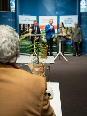 Presentata la campagna respiro del bosco - fla dl bosch: (da sinistra) l'assessore alle Foreste Luis Walcher, il direttore della Ripartizione foreste Günther Unterthiner, la guardia forestale Teresa Staffler e il responsabile della stazione forestale Giorgio Sivieri (Foto: USP/Fabio Brucculeri)