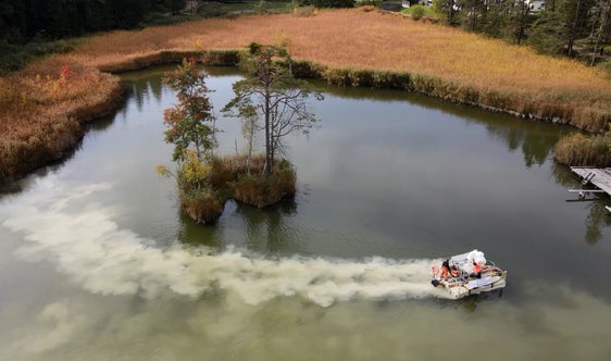 Nährstoffbindung an der Seeoberfläche für eine bessere Wasserqualität (Foto: Landesagentur für Umwelt- und Klimaschutz)