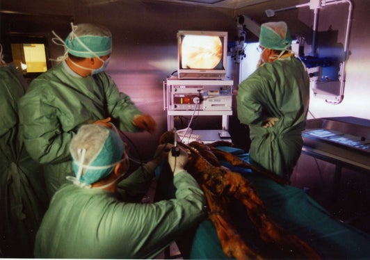 Da 30 anni al centro delle ricerche sull'Età della Pietra: la mummia del glaciale Ötzi (Foto: ASP)