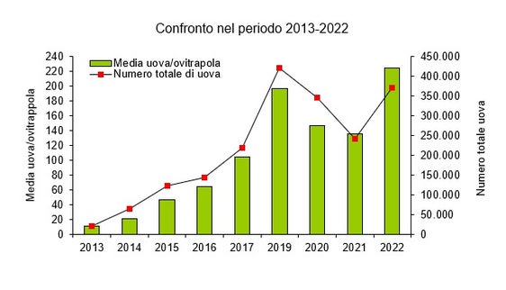 Confronto del numero medio di uova di zanzara tigre nel periodo 2013-2022 (Fonte: Agenzia provinciale per l’ambiente e la tutela del clima, 2023)