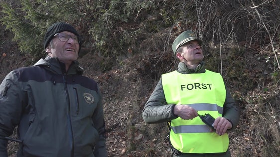 Begutachtung der Schadensfläche nach dem Waldbrand am Marlinger Berg: der Direktor des Forstinspektorats Meran Peter Klotz (li.) und der Leiter der Forststation Lana Albert Alber (Foto: LPA/Landesamt für Forstplanung)