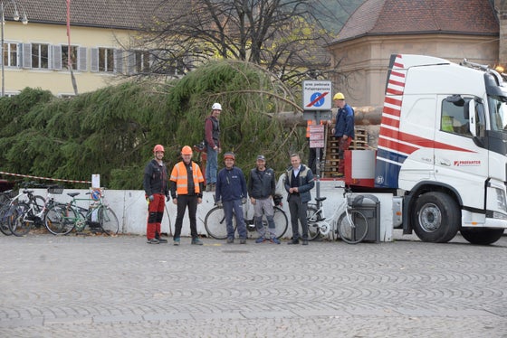 Geschenk an die Bevölkerung der Stadt Bozen: Forstwirtschaftslandesrat Luis Walcher (ganz rechts) im Gespräch mit Gärtnern und Tischlern der Gemeindeverwaltung. (Foto: LPA/Maja Clara)
